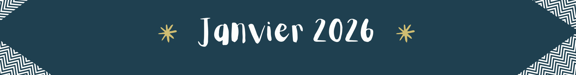 Odoo • une photo avec une légende