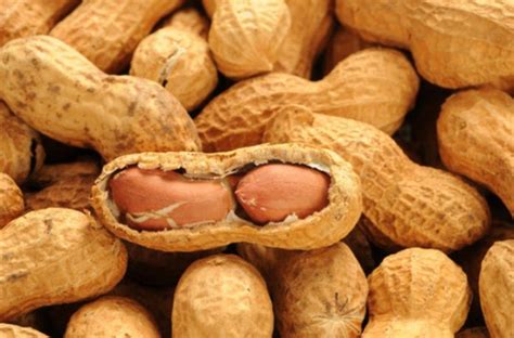 ARACHIDES COQUES GRILLEES