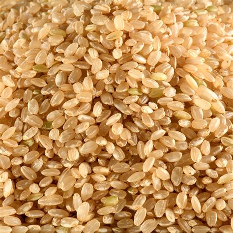 RIZ ROND 1/2 COMPLET ITALIE