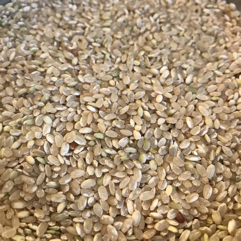 RIZ ROND COMPLET CAMARGUE