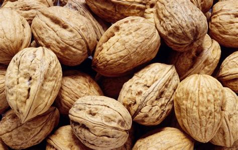 NOIX DU PERIGORD AVEC COQUES