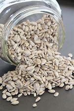 GRAINES DE TOURNESOL