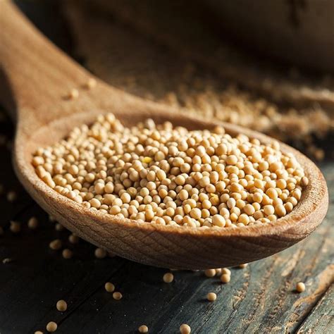 GRAINE DE MOUTARDE JAUNES