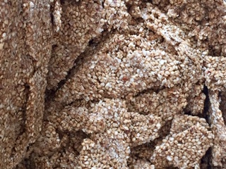 SESAME EN PLAQUES
