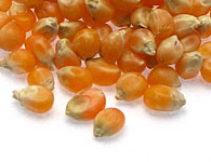 MAIS POP CORN 