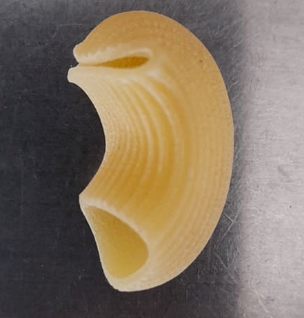 PATES: CONCHIGLIE BLANCHES