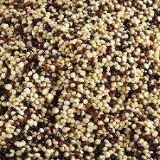QUINOA TRICOLORE