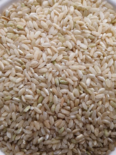 RIZ LONG 1/2 COMPLET DE CAMARGUE