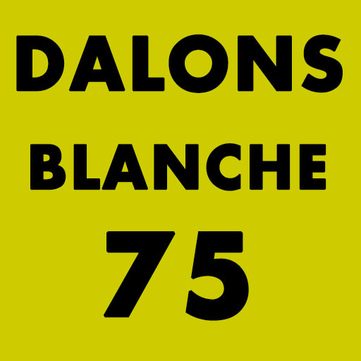 BIERE DALONS BLANCHE 75CL