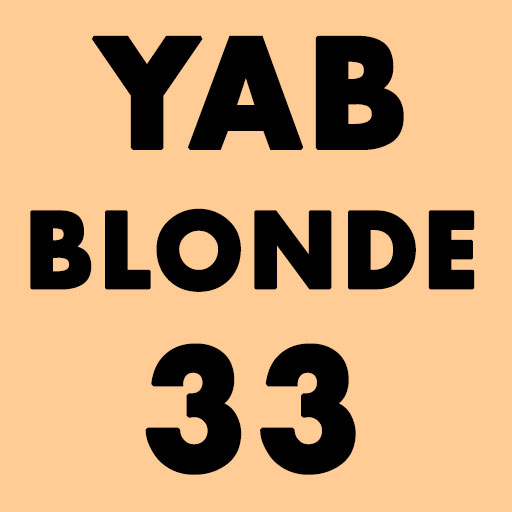 BIERE YAB BLONDE 33 CL