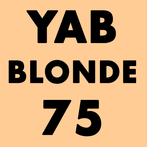 BIERE YAB BLONDE 75 CL