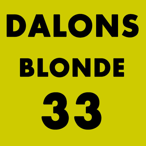 BIERE DALONS BLONDE 33CL