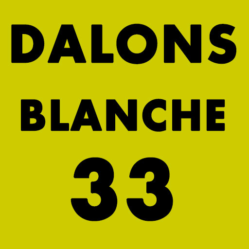 BIERE DALONS BLANCHE 33CL