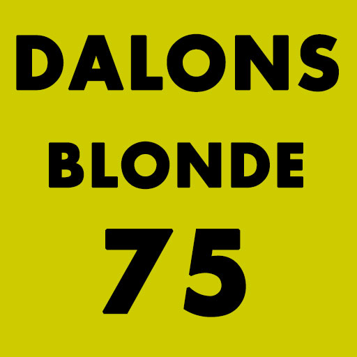 BIERE DALONS BLONDE 75CL
