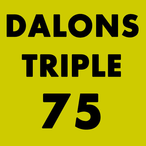 BIERE DALONS TRIPLE 75 CL