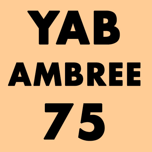 BIERE YAB AMBREE - 75cl