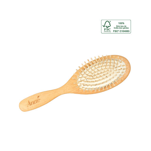 BROSSE A CHEVEUX PLATE A PICOTS