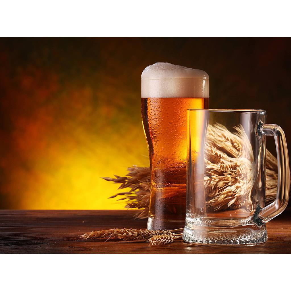 BIERE PRESSION dalons 33CL