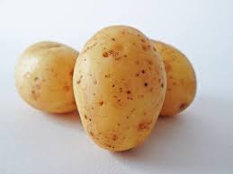 POMME DE TERRE bio gaia'r