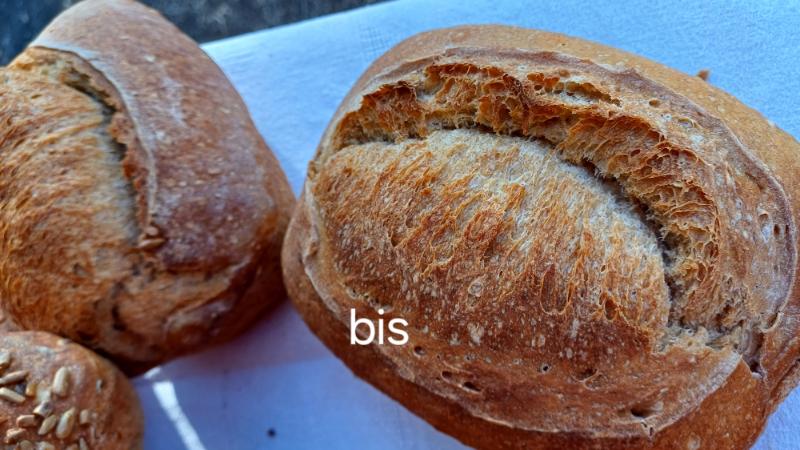 PAIN LEVAIN BIS 500gr la mie bio