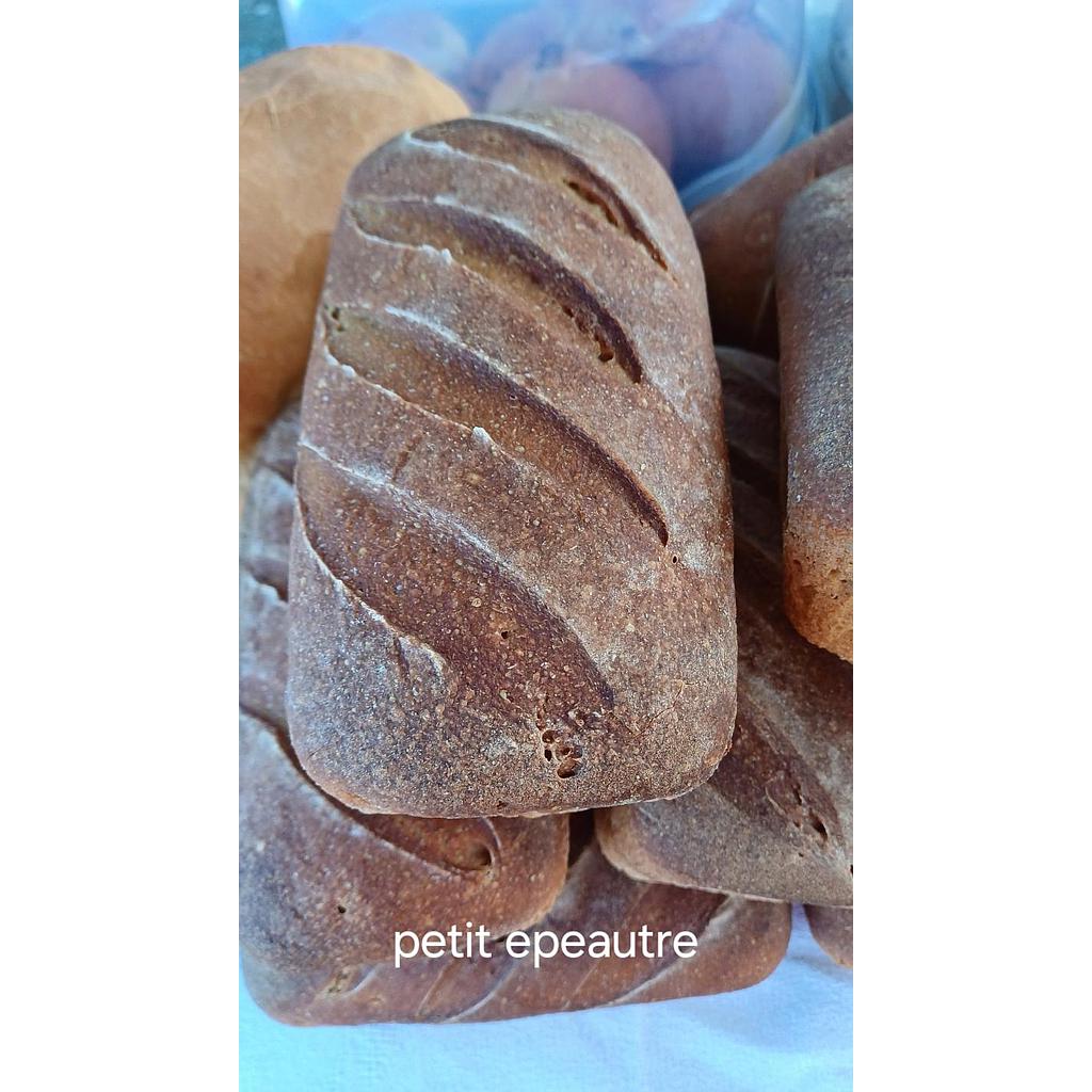 PAIN LEVAIN PETIT EPEAUTRE 500gr la mie bio