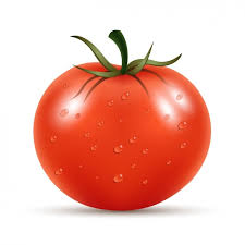 TOMATES bio gaia'r