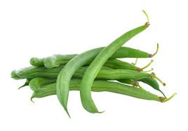HARICOT VERT gaia'r