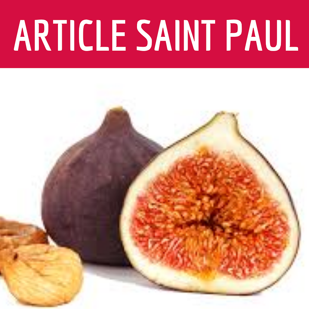 FIGUE (uniquement pour Saint Paul)