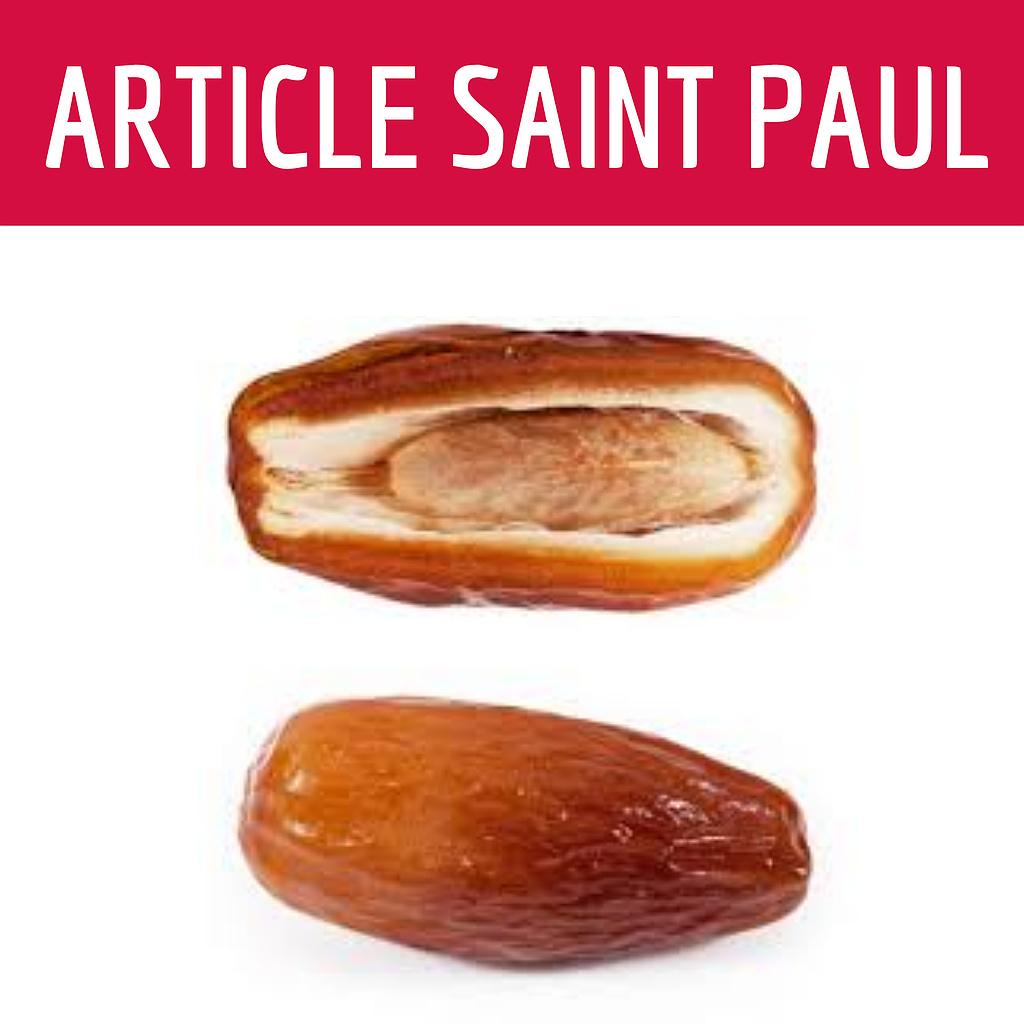 DATTE (uniquement pour Saint Paul)