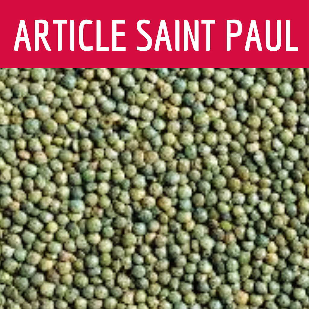 LENTILLE VERTE (uniquement pour Saint Paul)