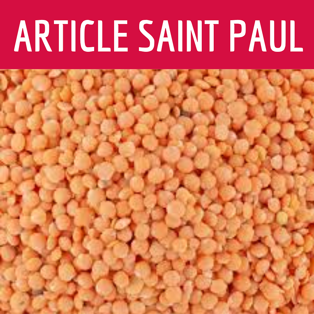 LENTILLE CORAIL (uniquement pour Saint Paul)