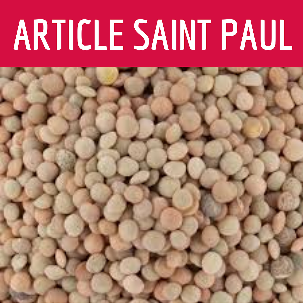 LENTILLE BLONDE (uniquement pour Saint Paul)