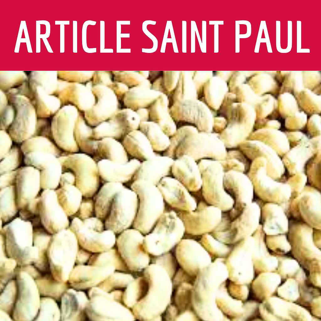 NOIX DE CAJOU NATURE Uniquement Saint paul