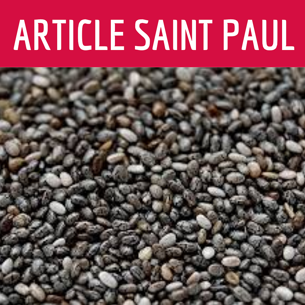 GRAINE DE CHIA (uniquement Saint Paul)