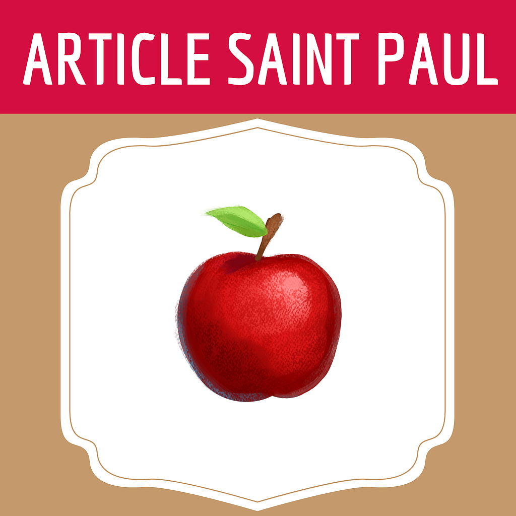 PUREE DE POMME bio 700gr uniquement SAINT PAUL