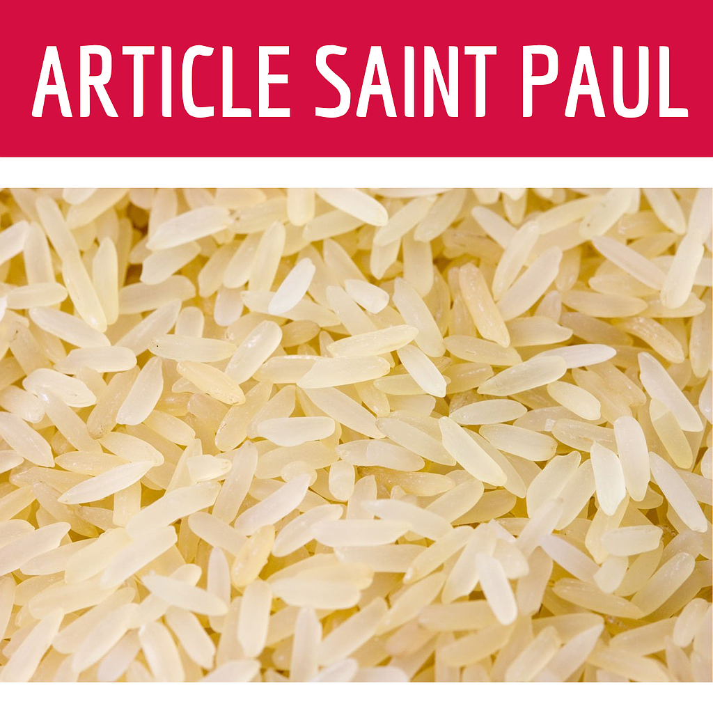RIZ BASMATI 1/2 COMPLET (uniquement saint paul)