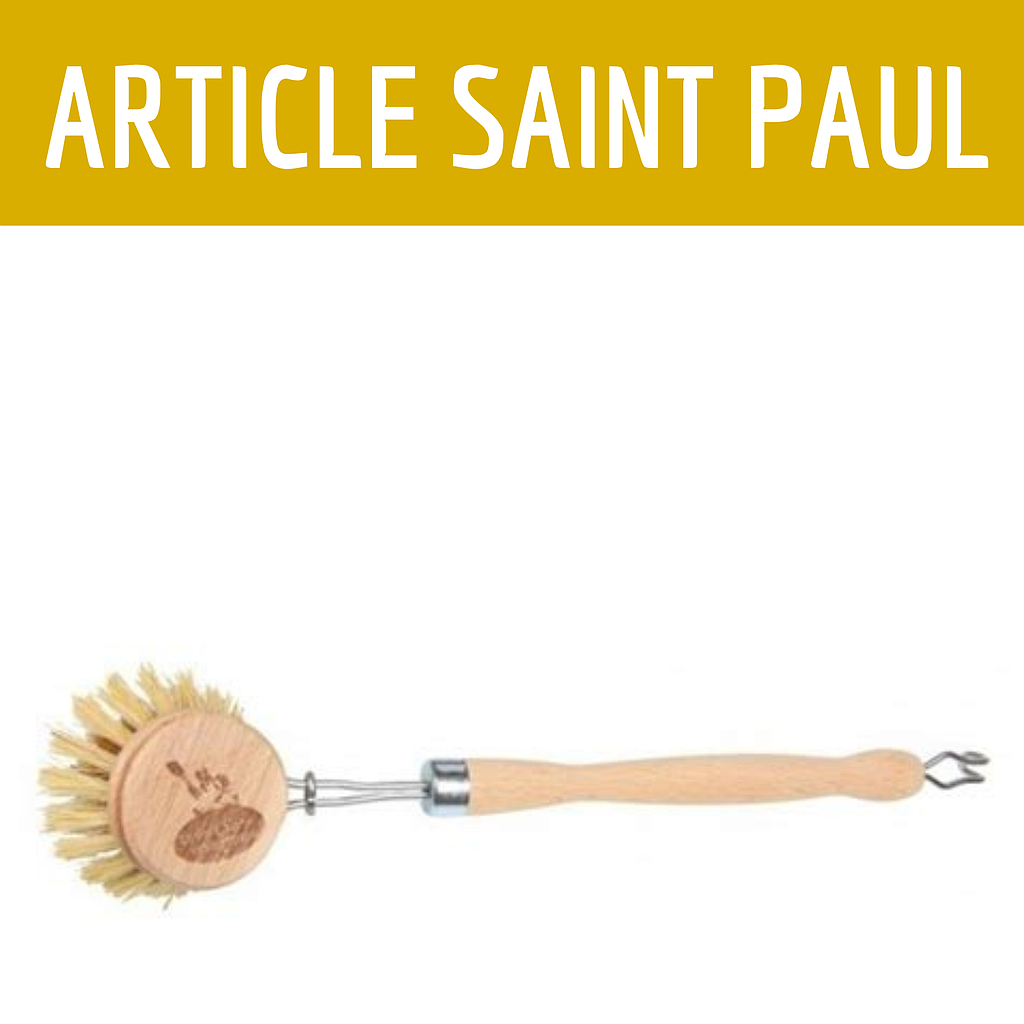 BROSSE VAISSELLE (saint paul)