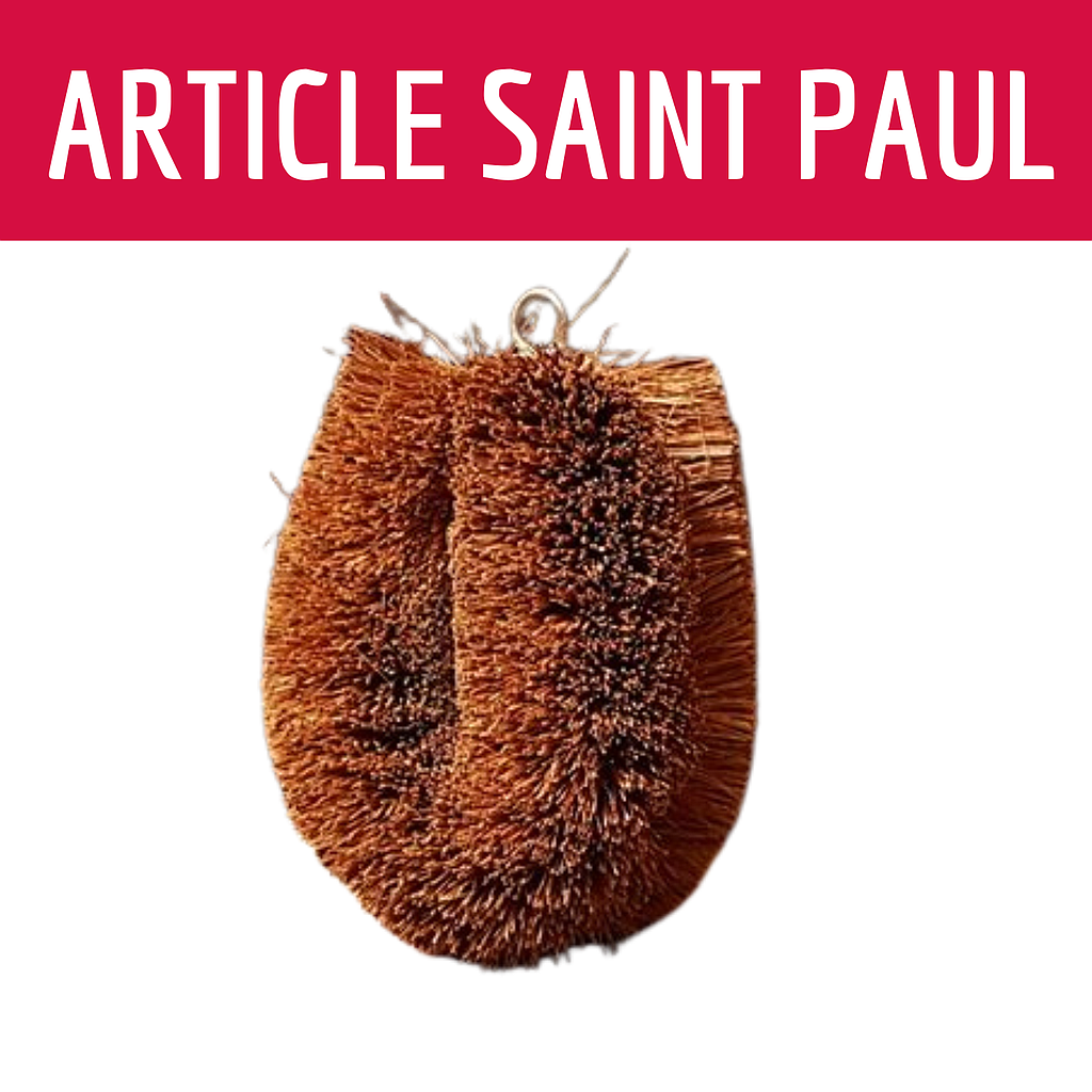 BROSSE COCO (uniquement saint paul)