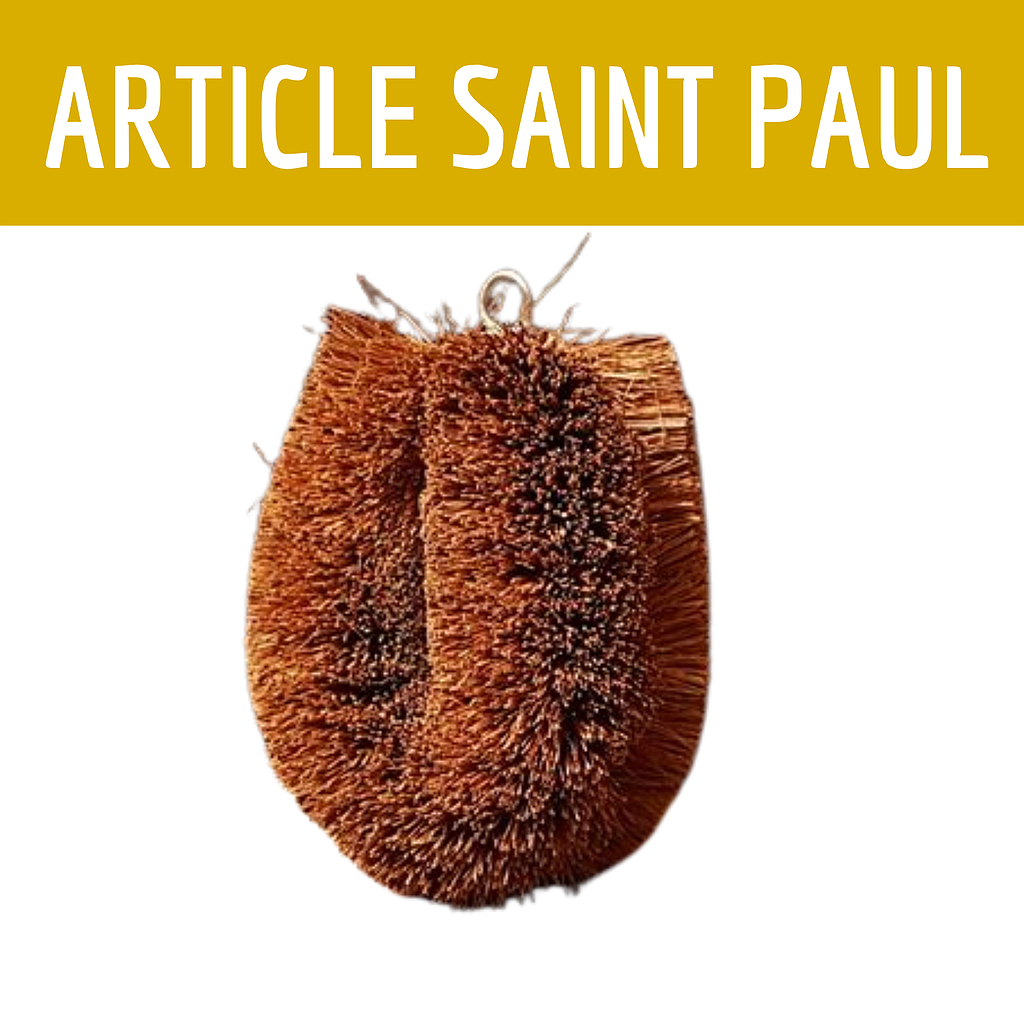 BROSSE COCO (uniquement saint paul)