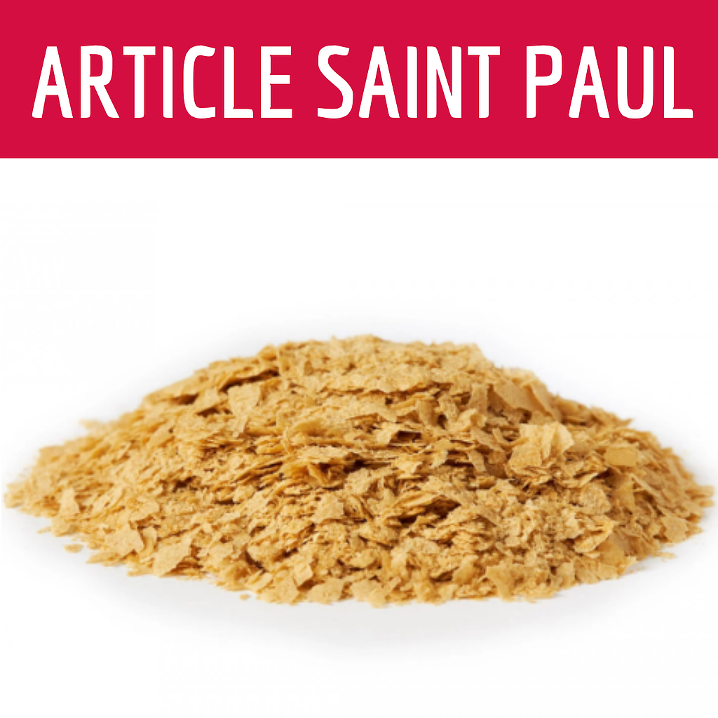 LEVURE DE BIERE MALTEE (uniquement pour saint paul)