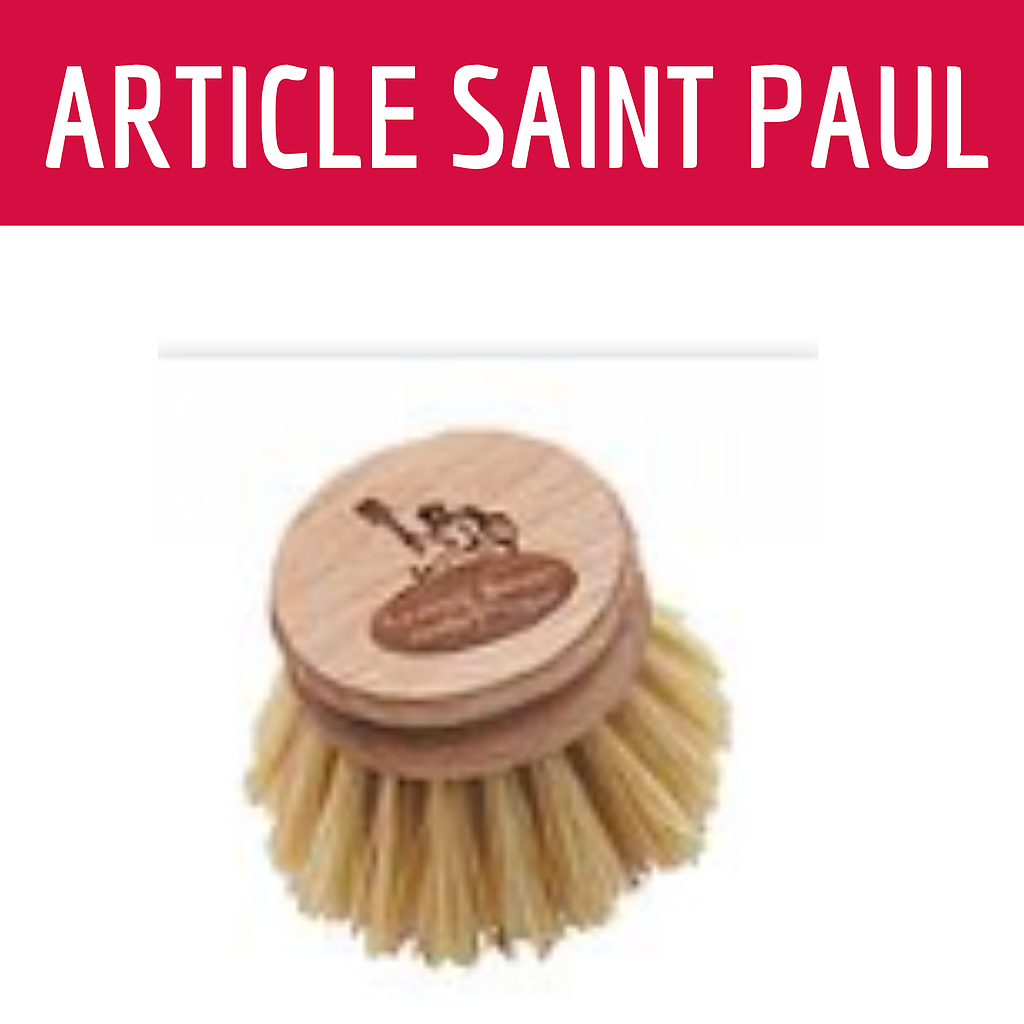 RECHARGE BROSSE VAISSELLE (uniquement saint paul)