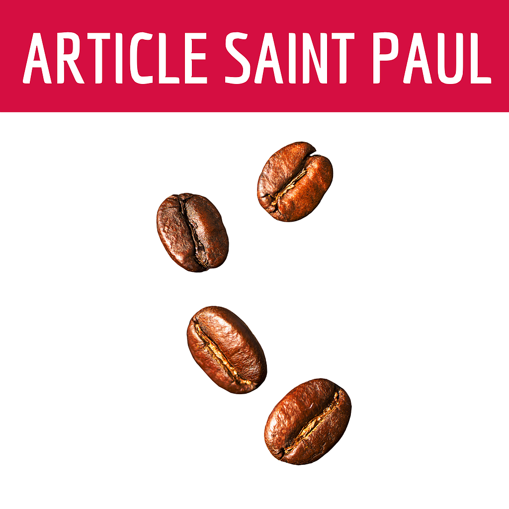 CAFE GRAINS GLOBE-TROTTEUR DAGOBERT (uniquement saint paul)