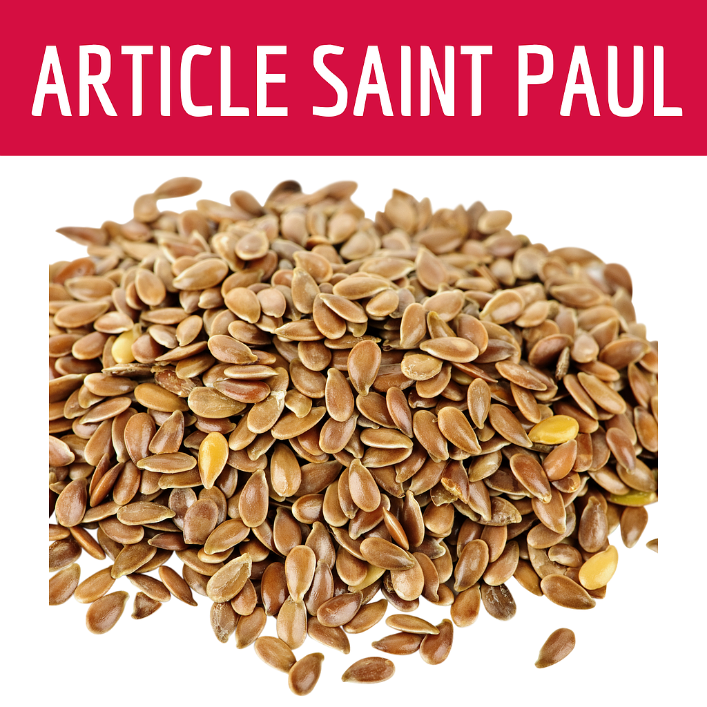 GRAINE DE LIN DORÉ (uniquement Saint Paul)